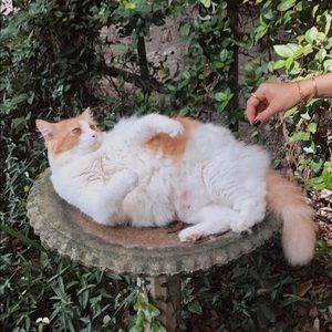 Meet your Posher, Barbara